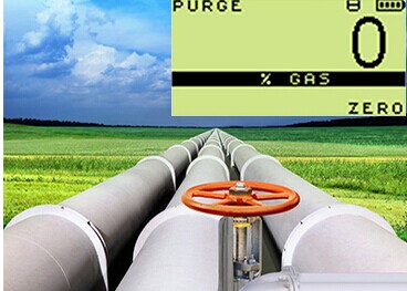 GT系列可燃气体检测仪净化模式