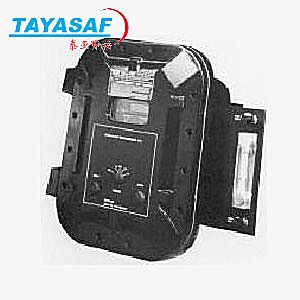 GPR-18/GPR-2—8现场隔爆式氧分析仪