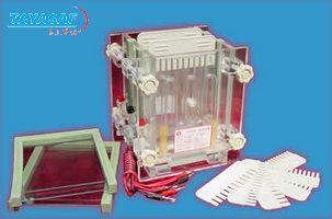 DYCZ-28C型 双板夹芯式垂直电泳仪(槽)(小号)