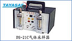 DS-21C˫·۳