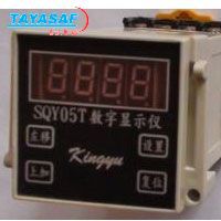 SQY05T-100-AC220转速数字显示仪