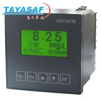 OXY5403B中文在线溶解氧仪
