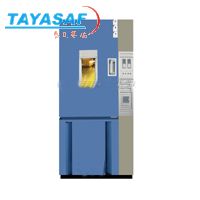 HSO2-500二氧化硫试验箱