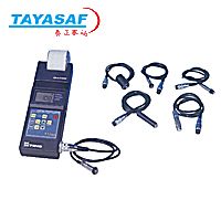 TT260涂层测厚仪