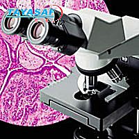 奥林巴斯CX31生物显微镜
